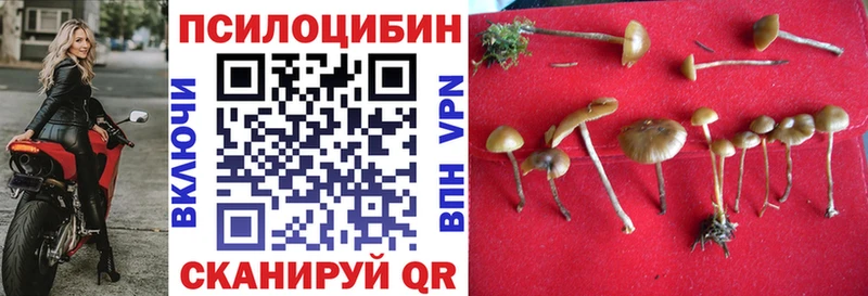 Псилоцибиновые грибы Psilocybine cubensis  Купить закладки  Назрань 